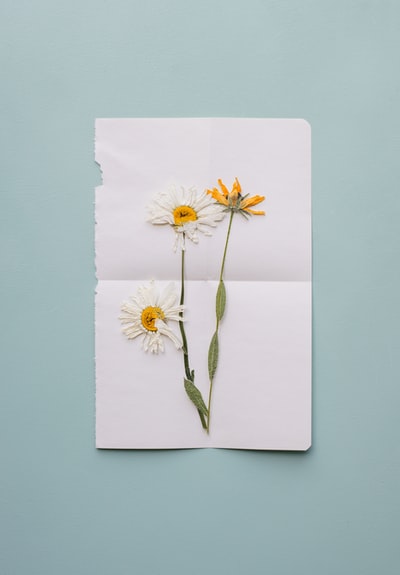 白色和黄色雏菊花手工制作的卡片
